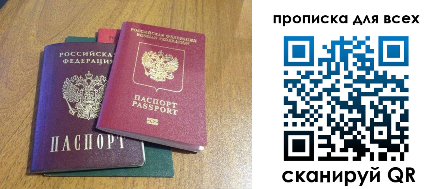 прописка гарантия в Московской области